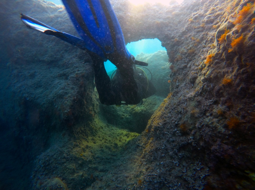 Kalamata Dive Center景点图片