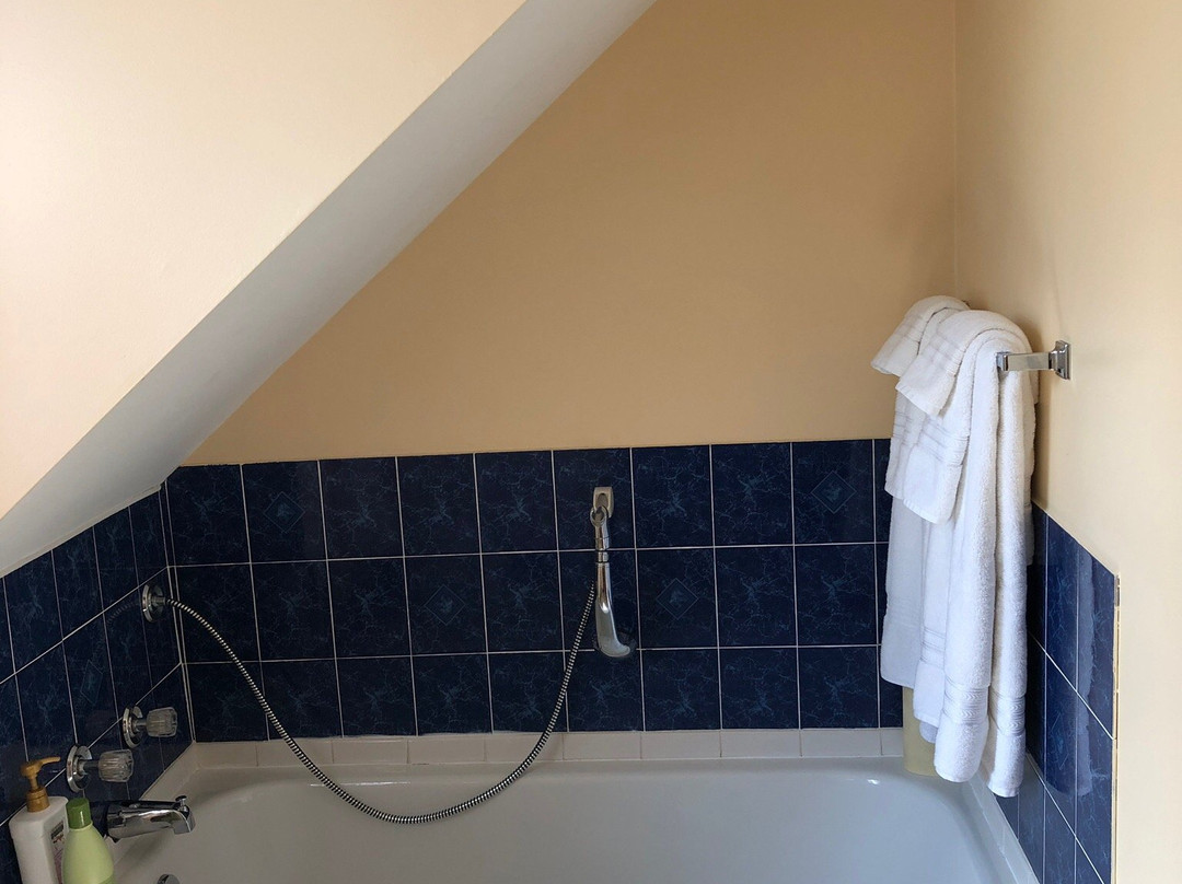 Ocean Hillside Bed And Breakfast主图