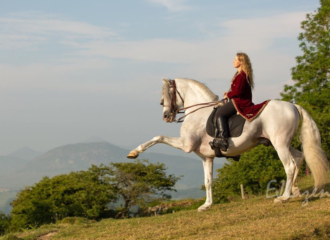 Pen Llyn Lusitano Stud and Riding Centre景点图片