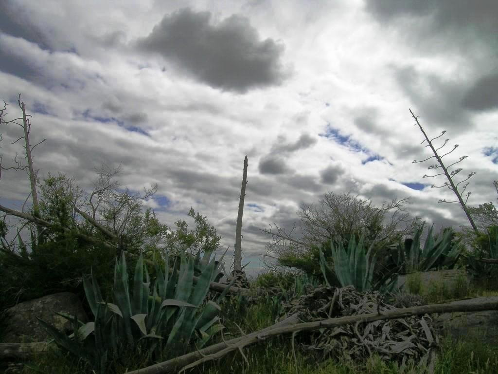 Gellibrand旅游攻略图片