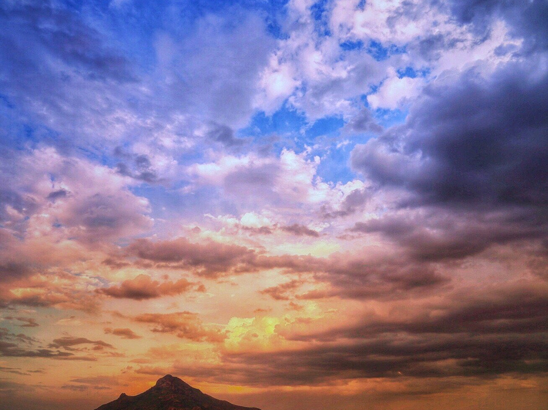 Mountain Saran Tours景点图片