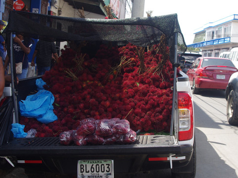 Penonome market-贝诺诺美必去景点