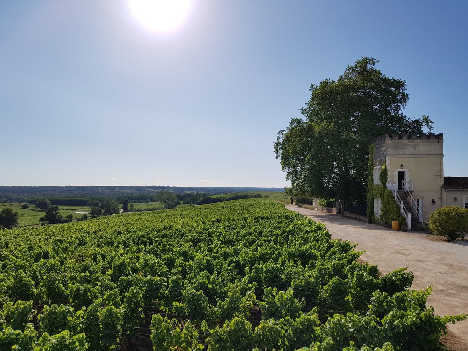 Château d’Arche-官方