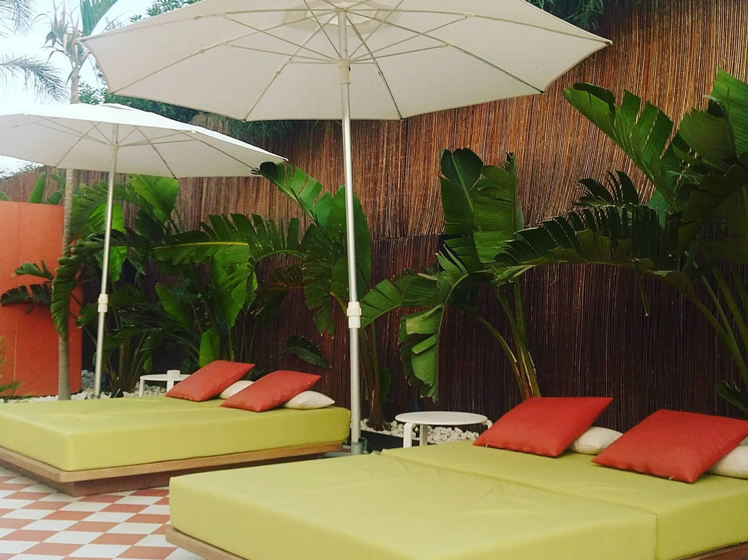 Cubanito Ibiza主图