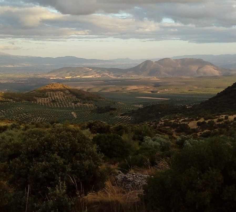 La Posada de Colomera主图