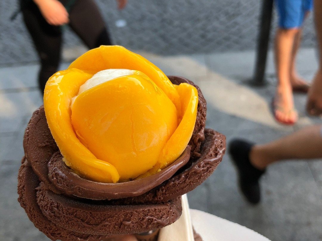 Portugal Legal Tours-波尔图必去景点