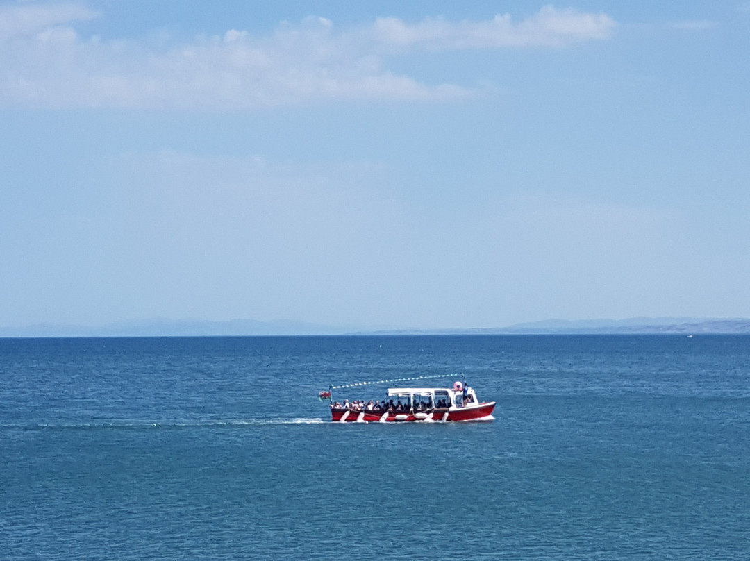 Summat Else B & B主图