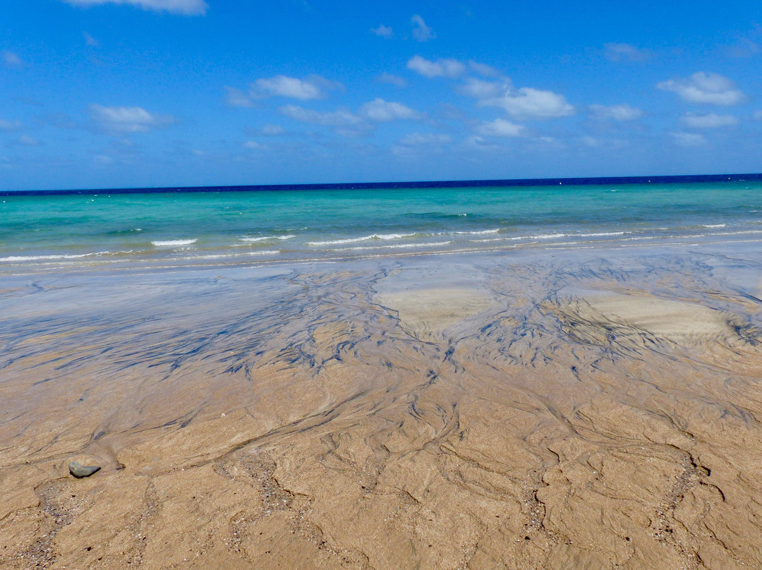 Plage de N'Gouja-Kanikeli必去景点
