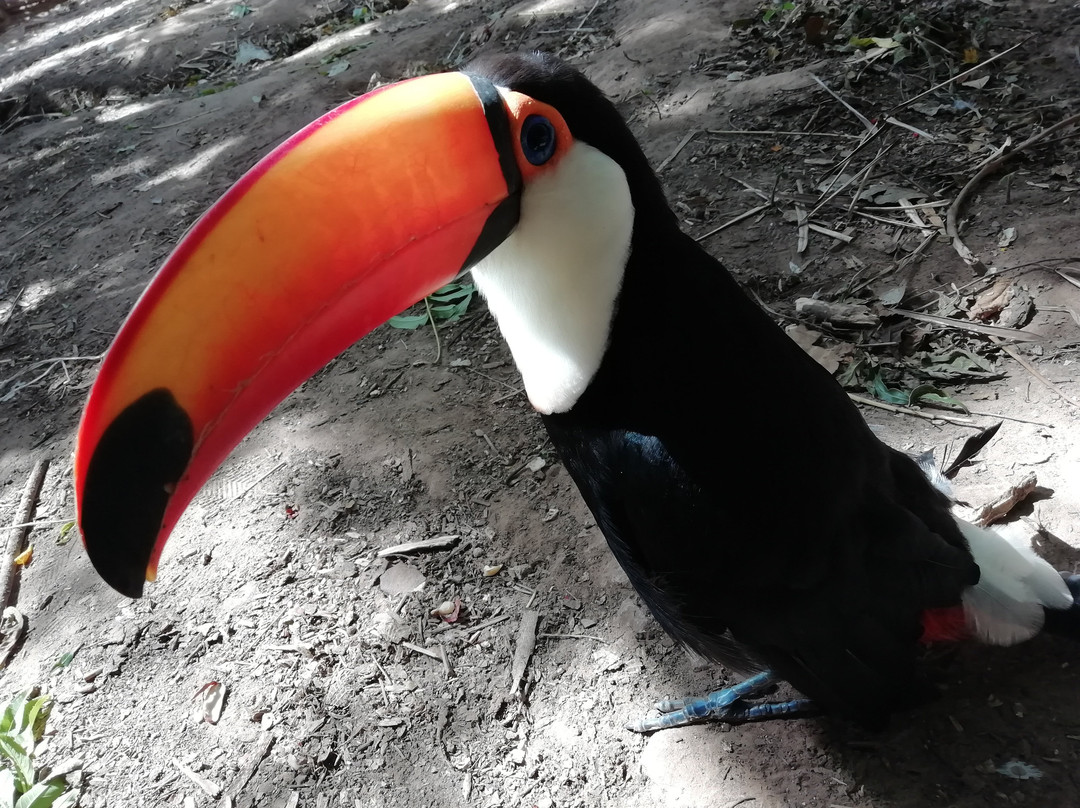 Refugio Zoologico-Samaipata必去景点