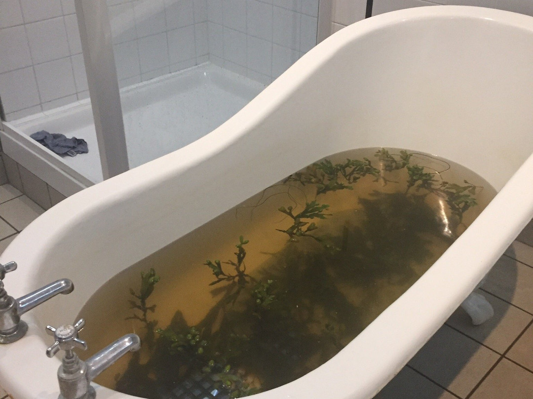 Bundoran Seaweed Baths景点图片