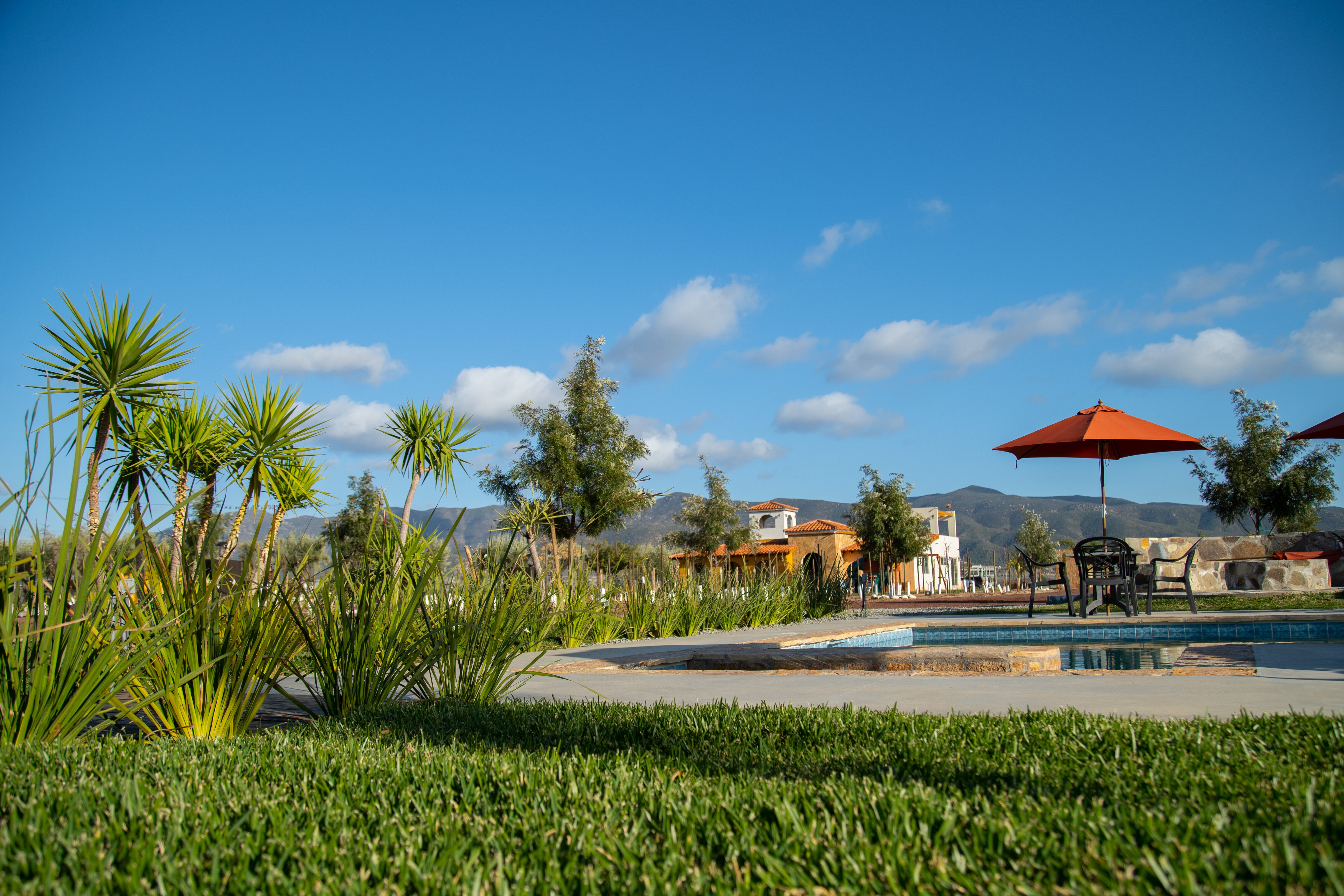Hacienda Los Olivos-家庭/游戏区