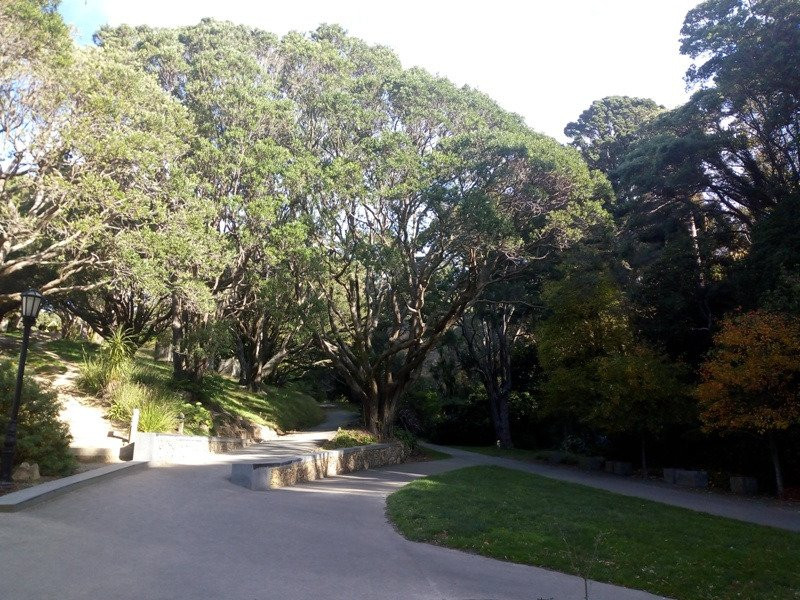 Central Park-惠灵顿必去景点