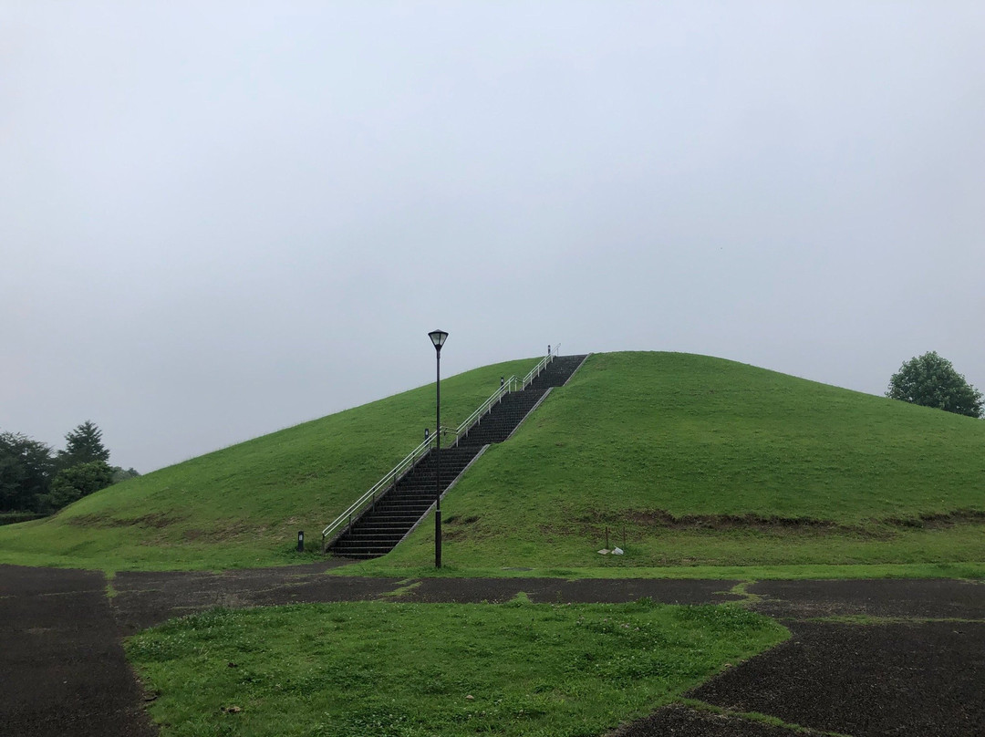 Makinohara Park-印西市必去景点
