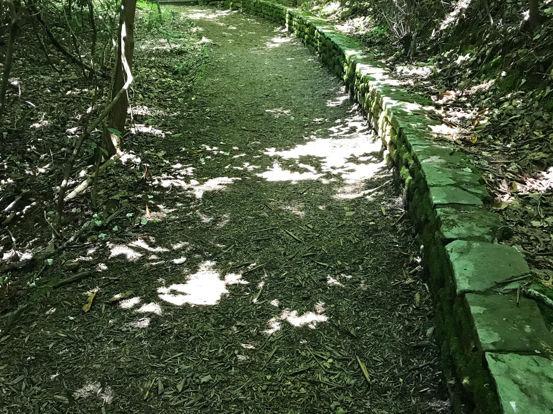 Oconaluftee Indian Village景点图片