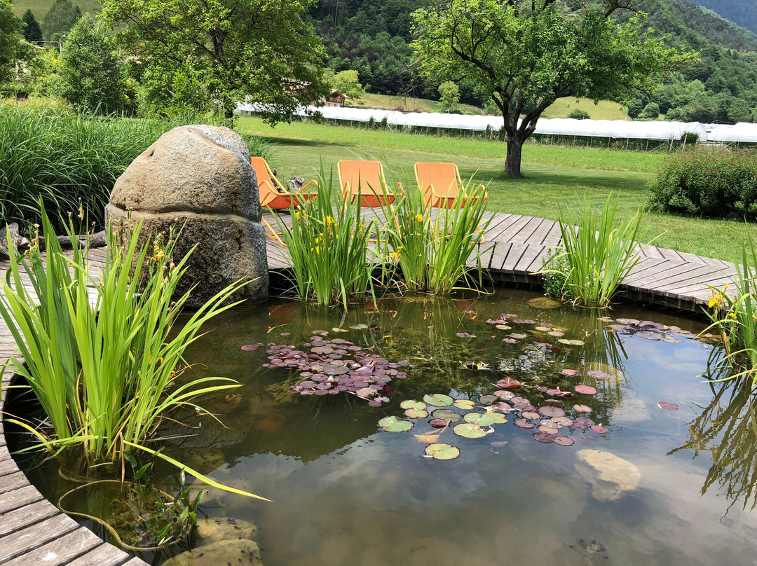DA EL DA Natural Retreat主图