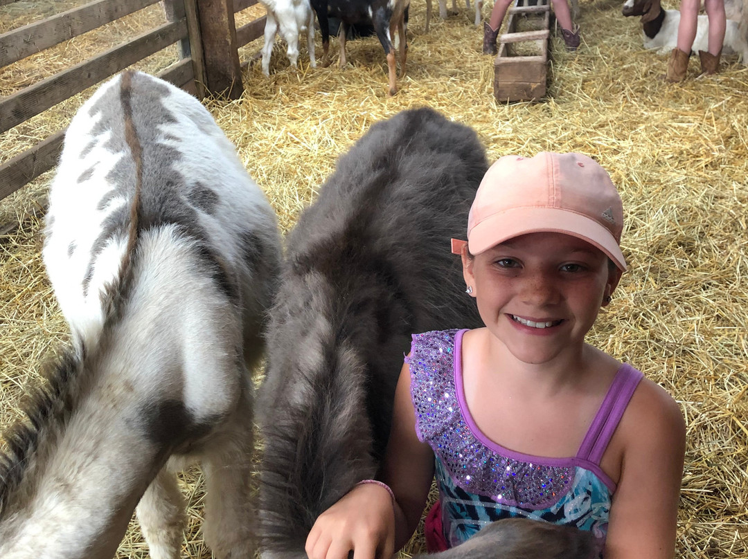 PPH Farms-夏洛特镇必去景点