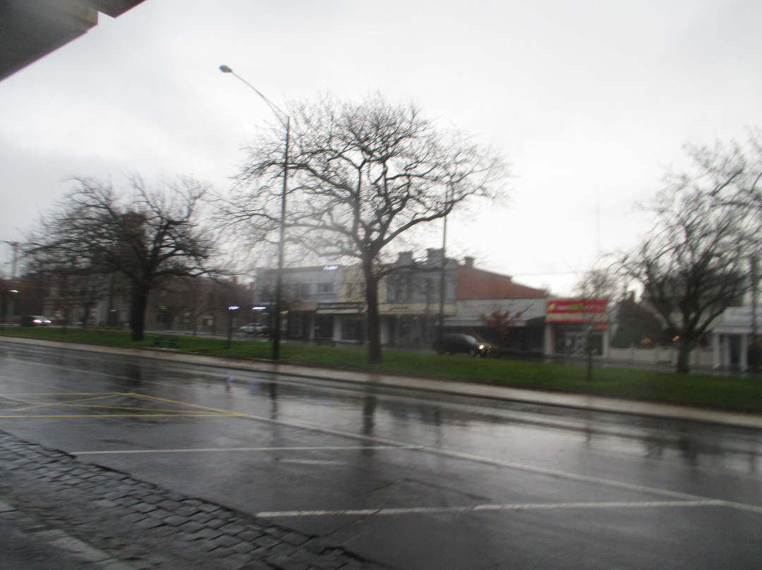 Sturt Street Gardens景点图片