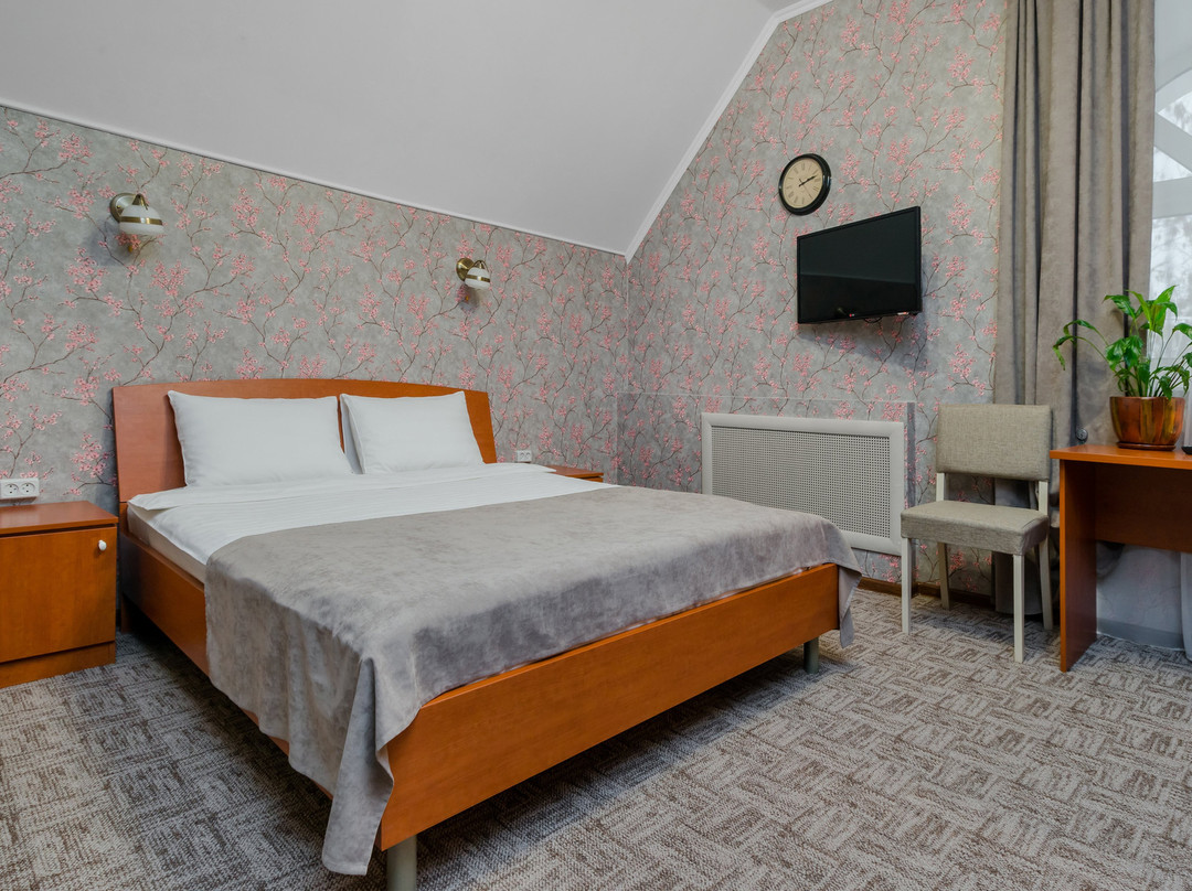 Vizit Hotel主图