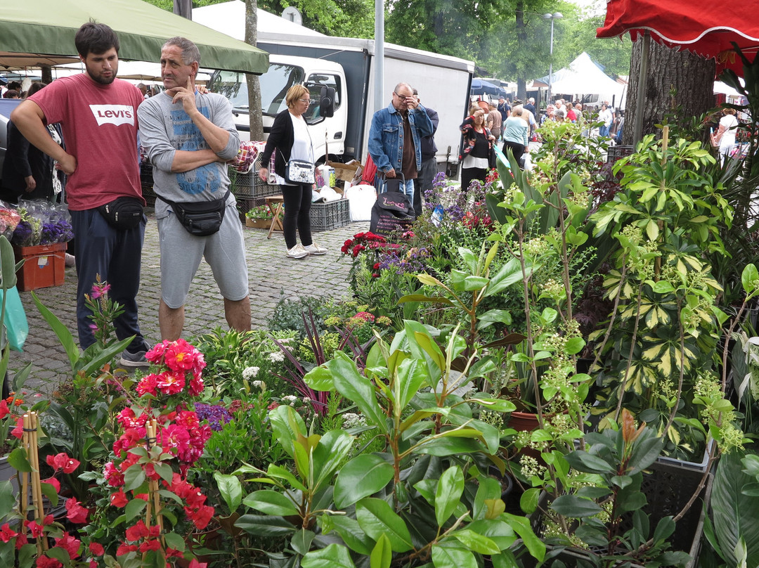 Marche de Barcelos景点图片