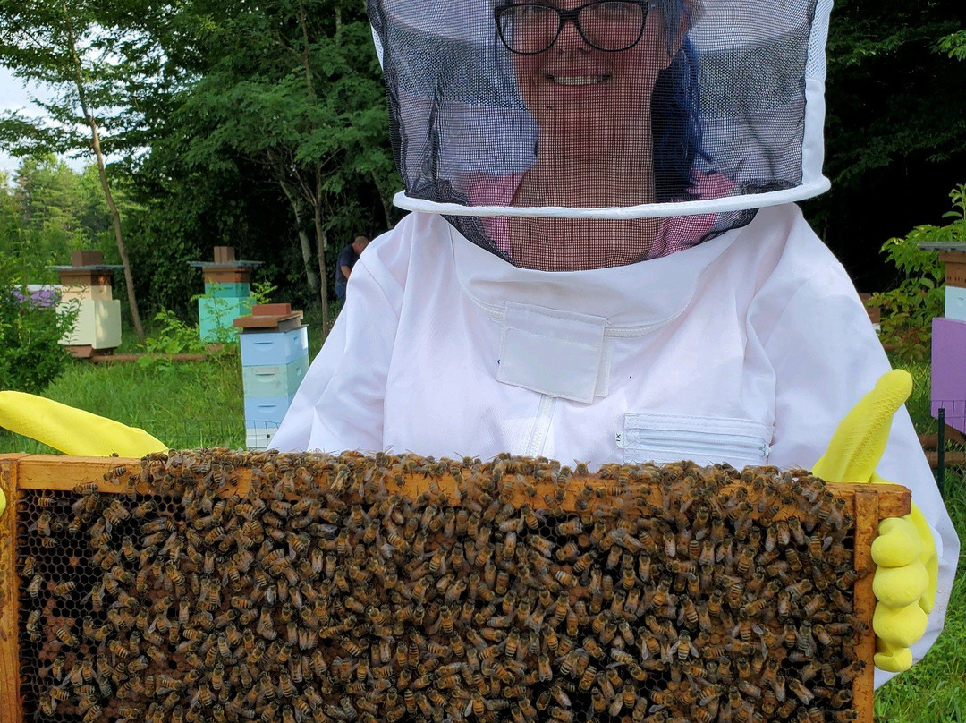 Sweet Betsy Farm-Marion必去景点