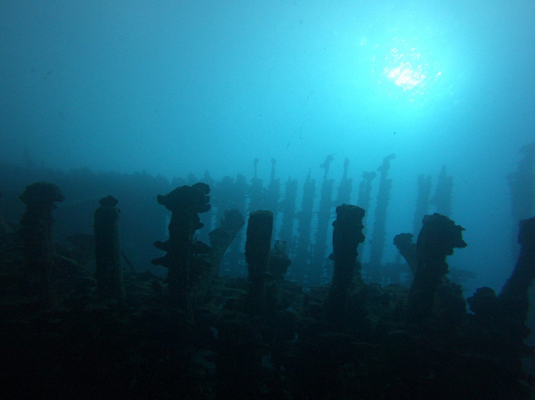 Eleuthera Tahiti Diving Center景点图片