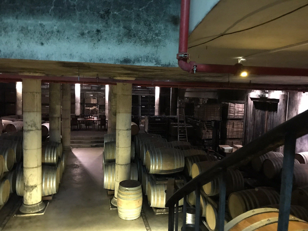 Chateau Golan Winery-戈兰高地必去景点