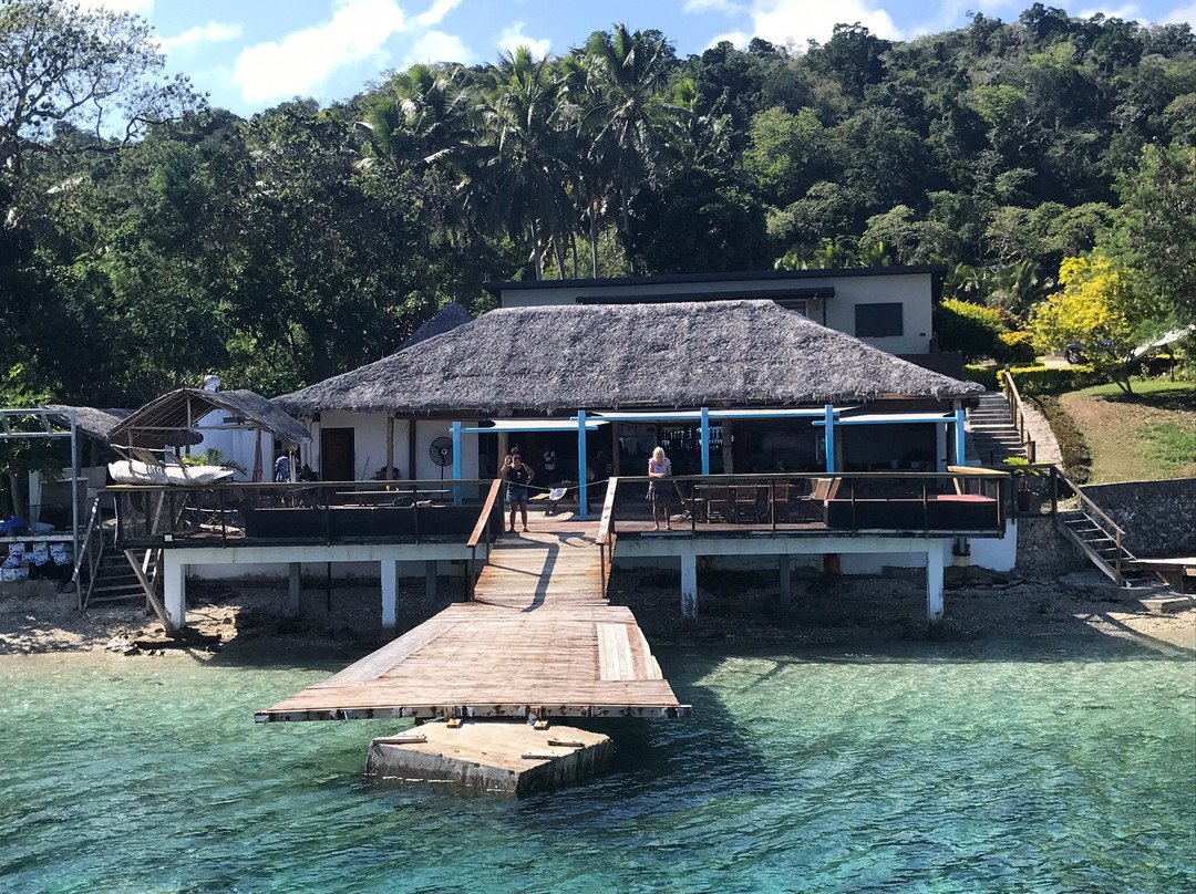 Turtle Reef Vanuatu景点图片