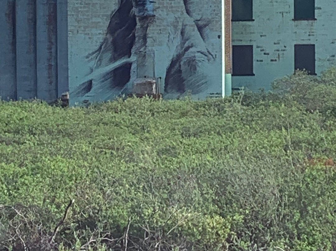 Cape Merry Battery-丘吉尔必去景点