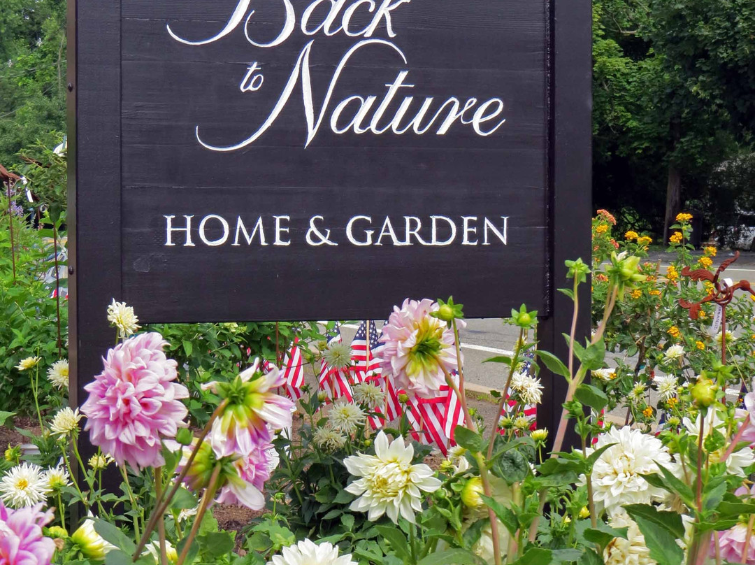 Back to Nature Home & Garden景点图片