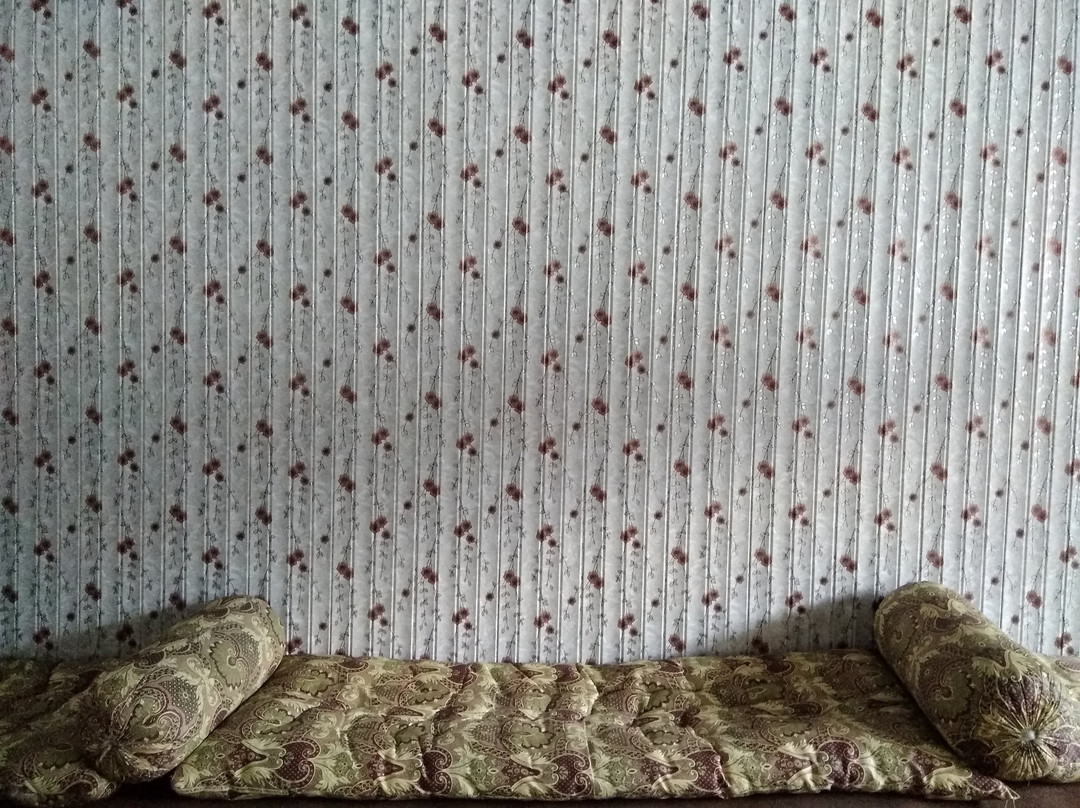 Mehmaan Resort主图