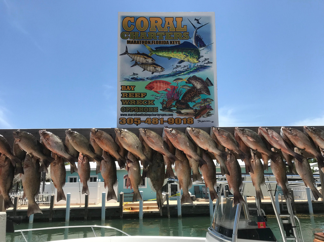 Coral Charters-马拉松必去景点