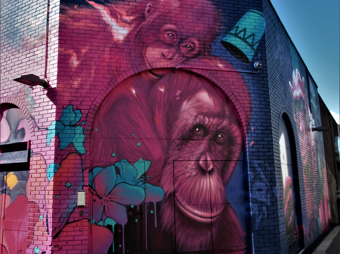Fresque "Les singes"景点图片
