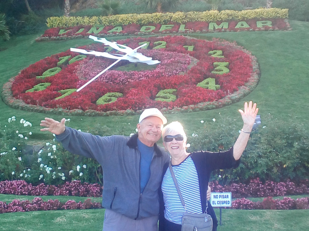 Flower Clock (Reloj de Flores)-比尼亚德尔马必去景点