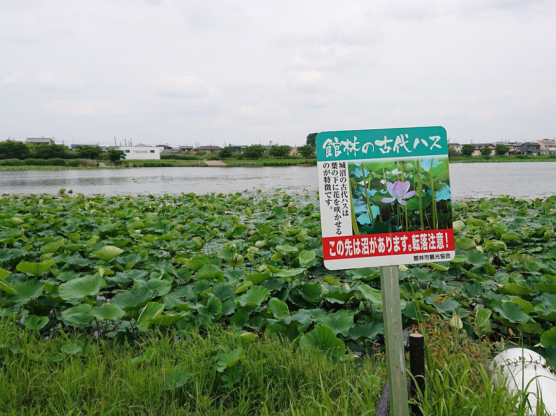 Tsutsujigaoka Park景点图片