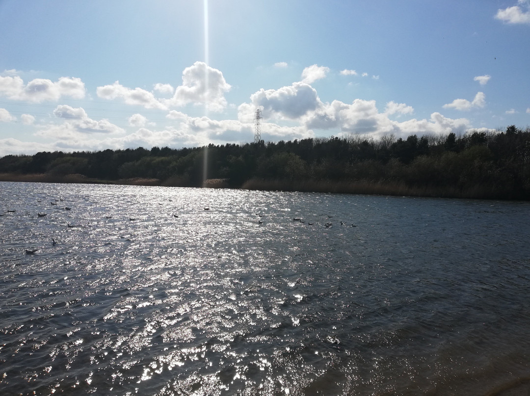Queen Elizabeth II Country Park-Ashington必去景点