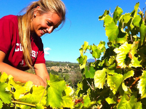 CHÂTEAU DES ROQUES-Vacqueyras必去景点