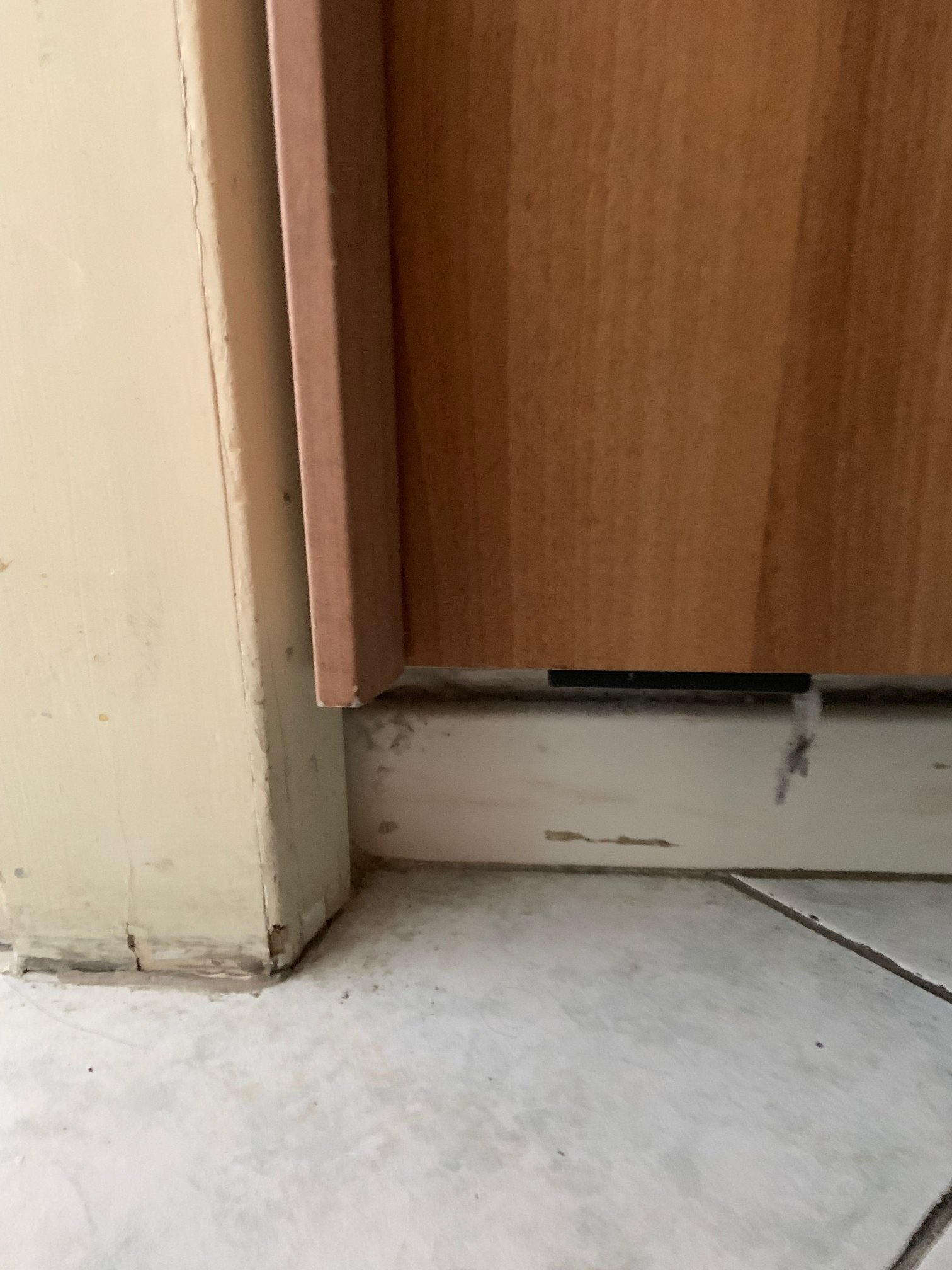 Hotel Florida-酒店景观