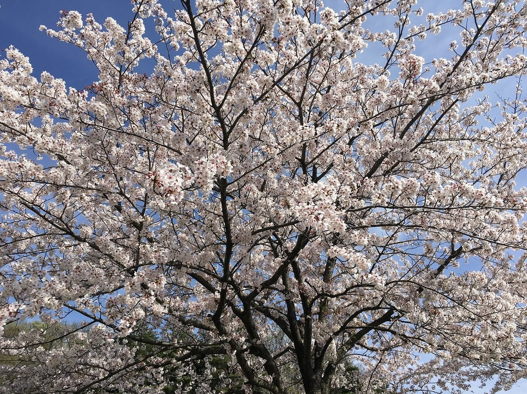 Takane Country Club-滑川町必去景点
