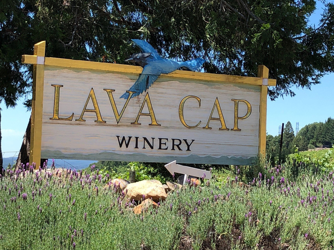 Lava Cap Winery-普莱瑟维尔必去景点