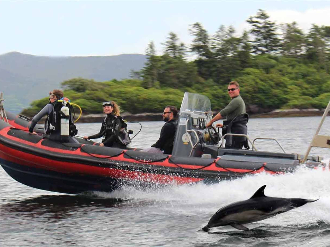 Kenmare Bay Diving-肯梅尔必去景点