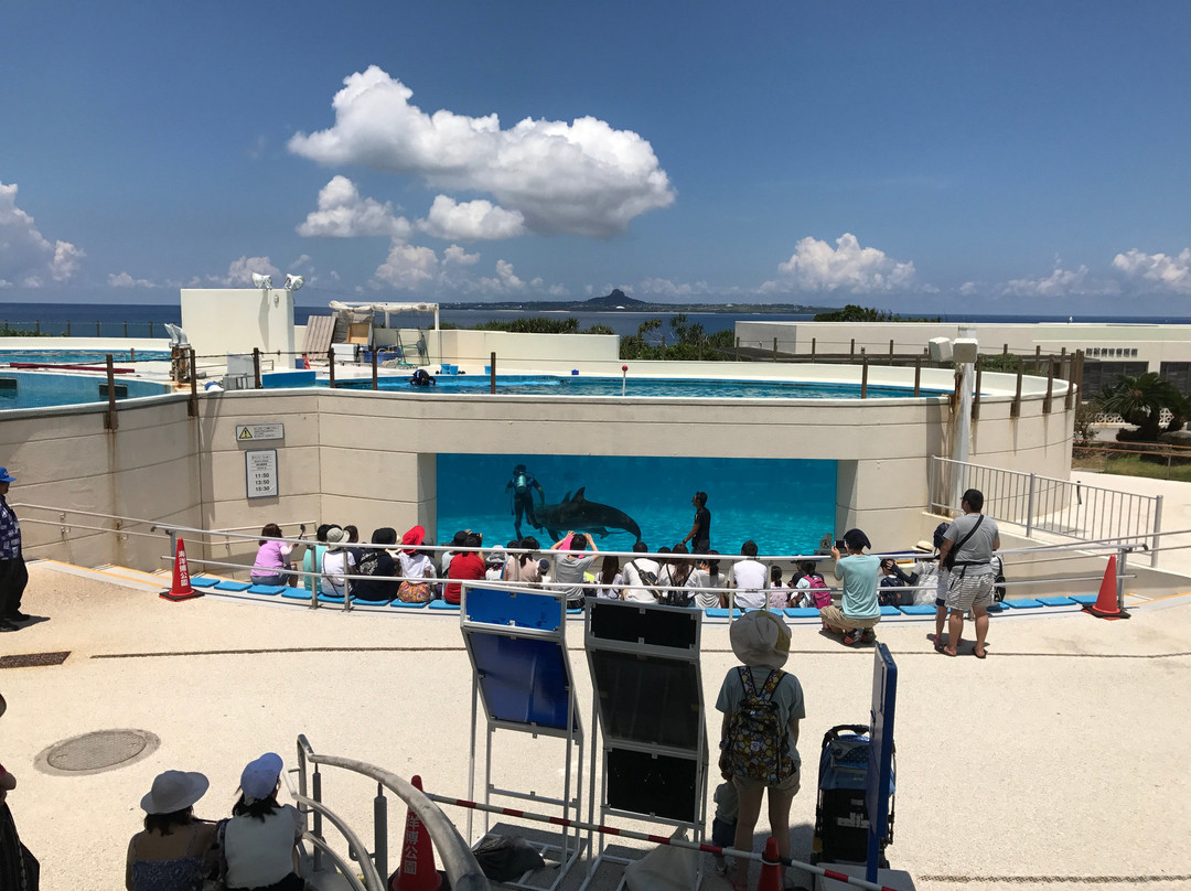 冲绳海洋博览会纪念公园景点图片