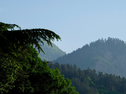 Borjomi Likani主图