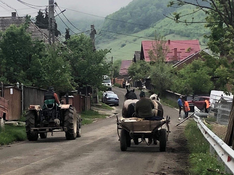 Transylvania Discovery Tours-布拉索夫必去景点