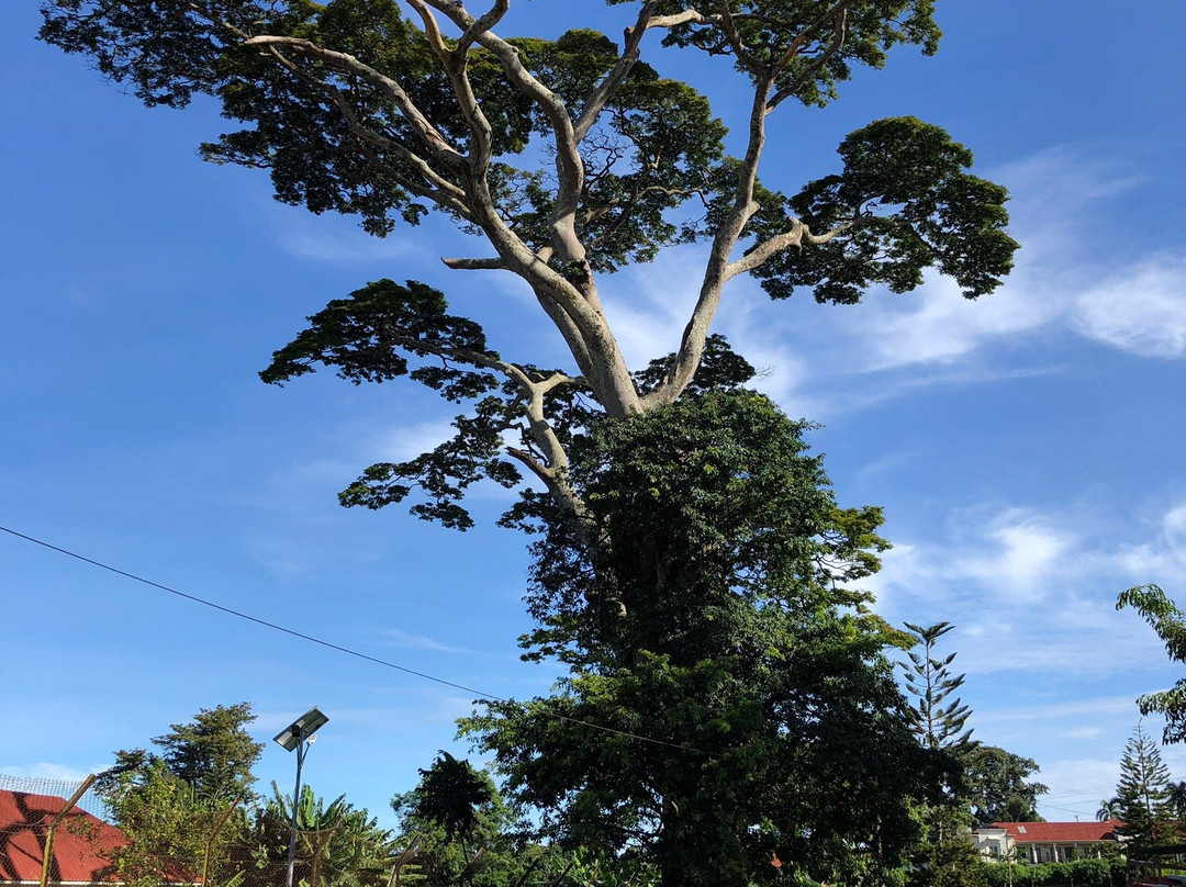 Imperial Botanical Beach Hotel主图