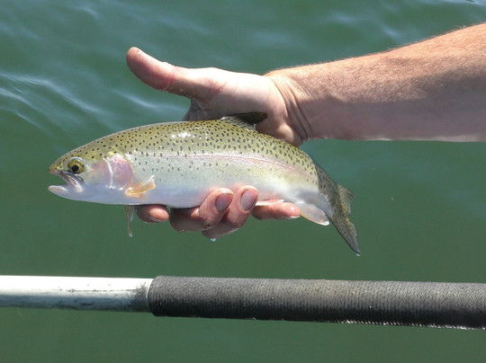 Confluence Fly Shop-本德必去景点