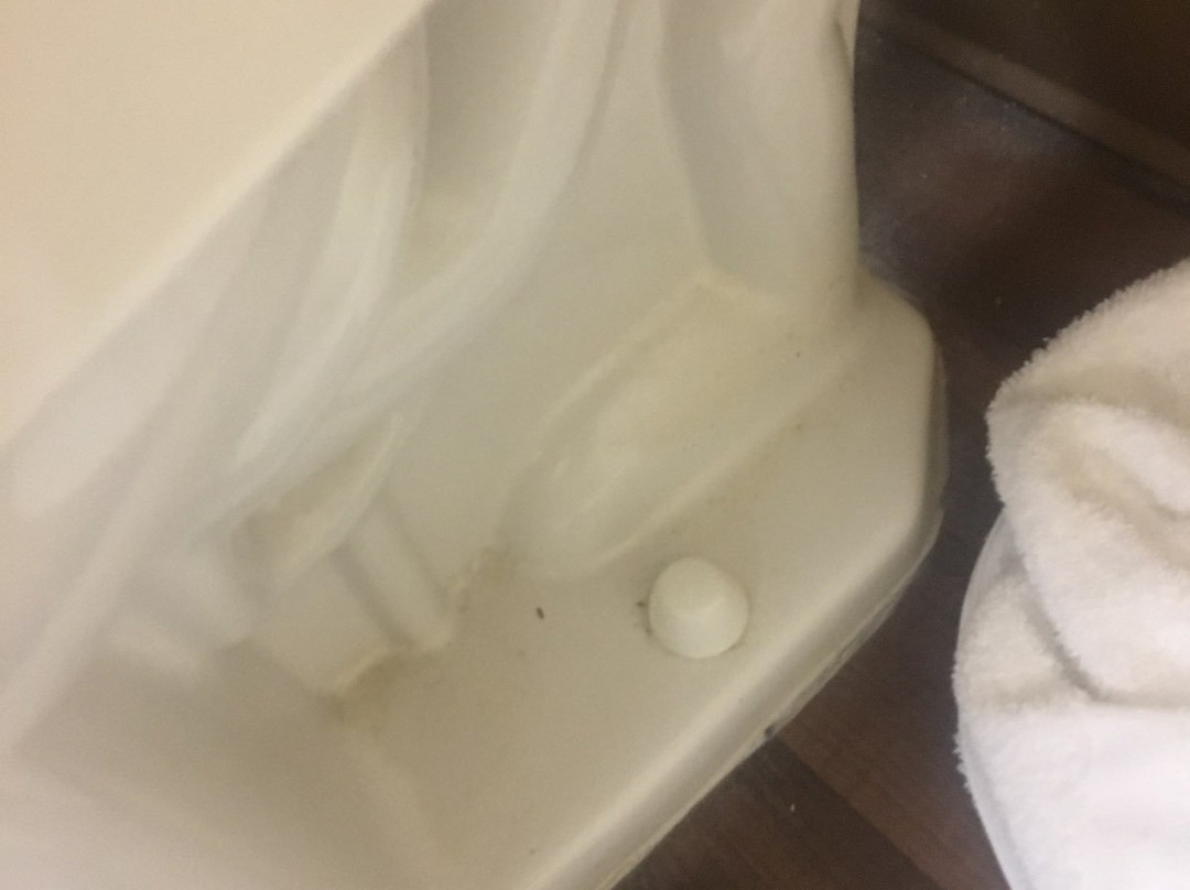 Extended Stay America Suites - Columbia - Columbia Parkway主图