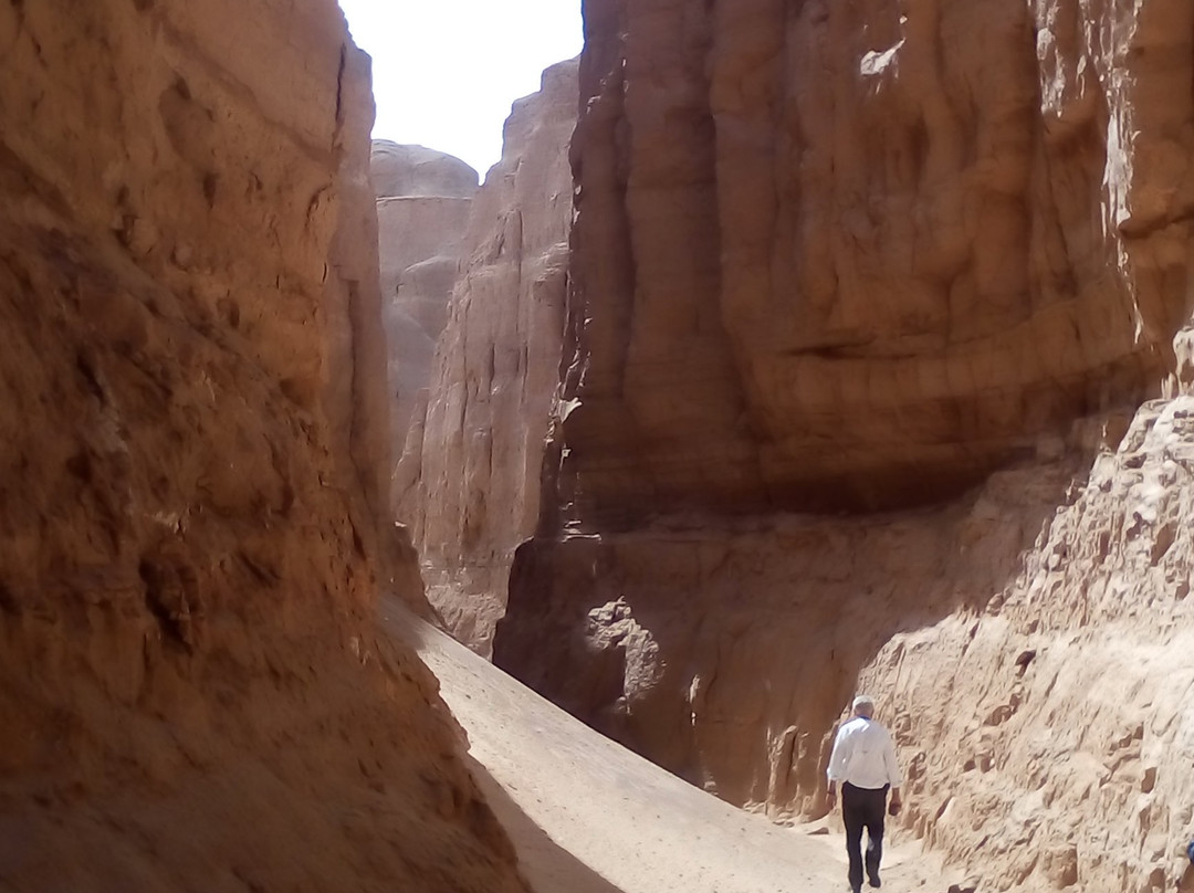 Shahdad Kalouts-Shahdad必去景点