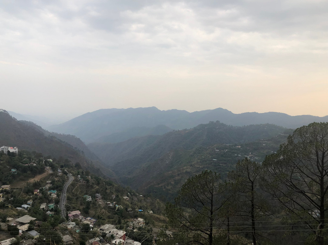 The Nature Walk主图