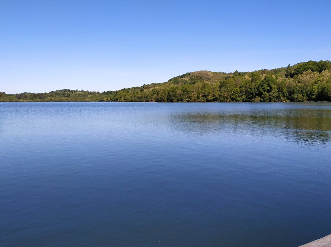 Hotel Alliance主图