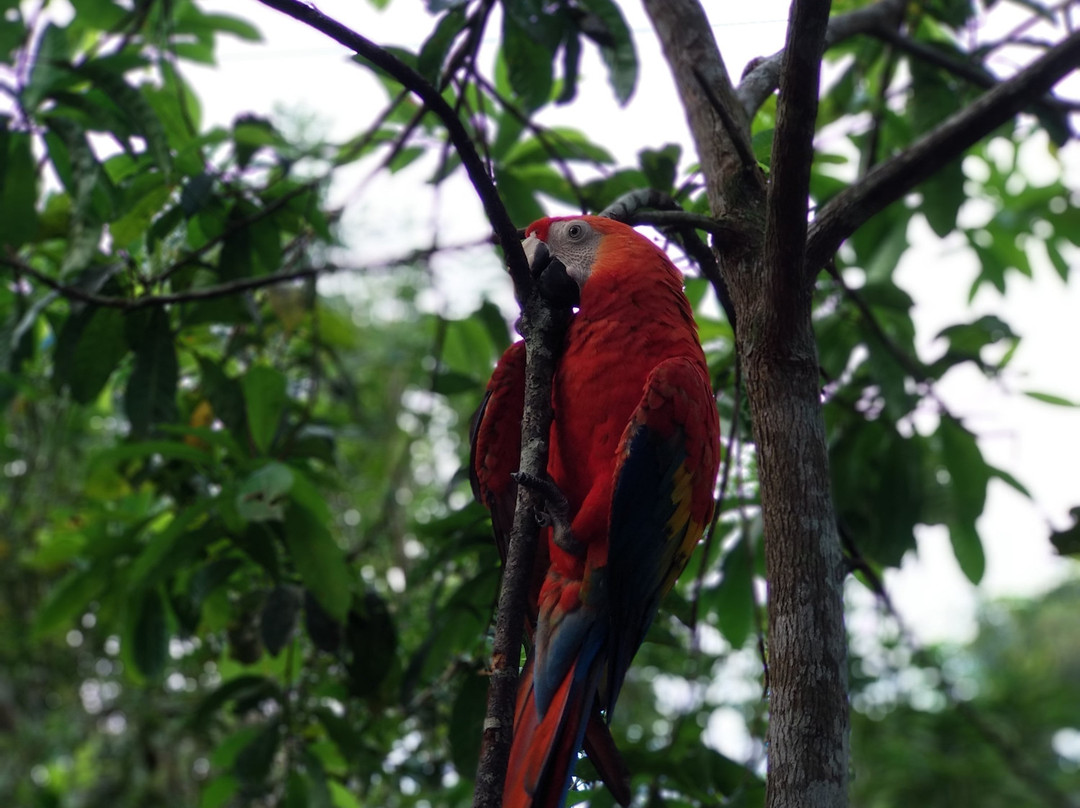 Alto Del Aguila Cabañas Del Frayle